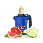 MEFISTO CASAMORATI 1888 EAU DE PARFUMS DISPONIBLE CHEZ ATELIER DES PARFUMS