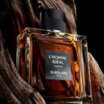 Notes olfactives Guerlain L'Homme Idéal Parfum — Amaretto, Cuir, Patchouli